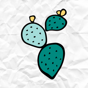 Logo Mena - Apulian Food